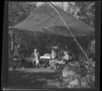 Mertie West, Agnes Whitaker, and Forrest Whitaker sit at a campsite, Toms Place, 1942