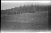 Kaibab National Forest, 1923