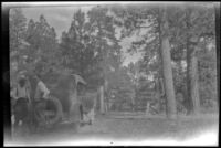 Gate in the Kaibab National Forest, 1923