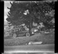 William Shaw leans into a car parked at a campsite under a large tree at Twin Lakes, Bridgeport vicinity, 1929