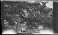 H. H. West and family's campsite at Twin Lakes, Bridgeport vicinity, 1929