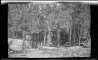 Cabin of the Albert Schmitz family, Lake Arrowhead, circa 1923