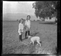 Frnaces and Elizabeth West with a dog in a field, Claremont, 1914