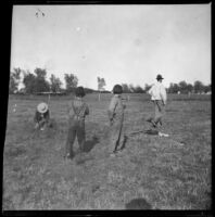 William Mead walks across a field after shooting clay blackbirds, as three boys look on, Biddick, 1900
