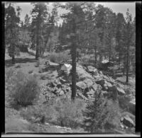 Wells cabin and neighboring cabins as viewed from a hillside, Big Bear, 1932