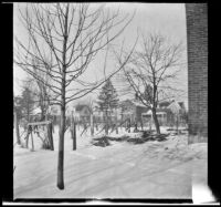 Grape trellises near the Lemberger home, Burlington, 1917