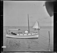 Boats in Avalon Bay, Santa Catalina Island, about 1910