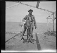 H. H. West poses for a photograph with a fish he caught in the bay, Santa Catalina Island, 1909