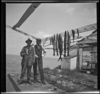 H. H. West and George Thomas of Pomona pose next to caught fish hanging on wooden beams, Santa Catalina Island, 1909
