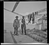 H. H. West and George Thomas of Pomona stand next to caught fish hanging on wooden beams, Santa Catalina Island, 1909