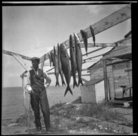 George Thomas of Pomona stands next to nine caught fish on display, Santa Catalina Island, 1909