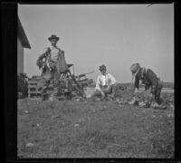 Guy Mansberger, F. O. Nelson and Carl Salbach clean ducks after a shoot, Orange County Vicinity, 1912
