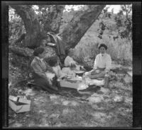 H. H. West's mother, wife, daughters, and sister eat a picnic in Chatsworth Park, Los Angeles, about 1910