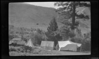 Tents pitched at the Schmitz, Scullin and West party campsite near Convict Creek, Mammoth Lakes vicinity, 1918