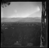 Orange groves viewed from a hill, Redlands vicinity, April 23, 1899