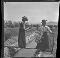 Ellen Lorene (Pinkie) Lemberger and Mrs. Rucher cross a plank over a stream, Crafton, 1901