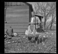 Roger Stearns poses with 2 sandhill cranes outside the clubhouse, Gorman vicinity, circa 1910s