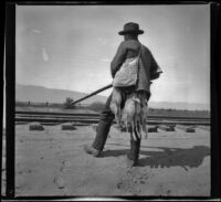 Guy M. West stands near railroad tracks after a rabbit shoot, Fontana vicinity, about 1902