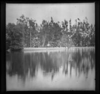 A view of Baldwin's Lake at Baldwin's Ranch, Arcadia, 1899