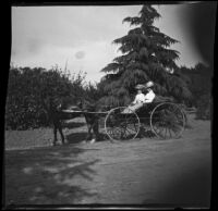 Mertie Whitaker and Lelia Gillan ride in a horse-drawn carriage, Fresno, 1901