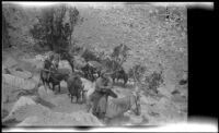 Two in the H. H. West group on the trail to Kearsarge Pass during a trip to Gardner Creek, about 1919