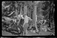 Glen Velzy and Charlie Stavnow breaking up camp on the trip to Gardner Creek, about 1919