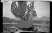 H. H. West's green tent pitched on the edge of Bullfrog Lake, Independence vicinity, about 1919