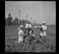 Frances West, Mary West, Wilfrid Cline, Minnie West and Elizabeth West rest in a field en route to Redlands, Rancho Cucamonga, about 1912