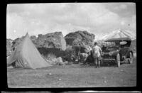 Distant view of the West-Schmitz-Stavnow-Cole campsite near Hilton Creek, Mammoth Lakes vicinity, about 1920