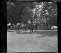 Packtrain leaves for the High Sierras, Independence, 1914