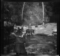 Elizabeth West watches her mother, Mary West, ride a donkey through a shallow stream, Mount Wilson, about 1909