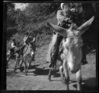 Mary West and Frances West leading the way while riding a donkey along a trail, Mount Wilson, 1909