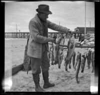 H. H. West holding two fish and posing with his catch, Newport Beach, 1914