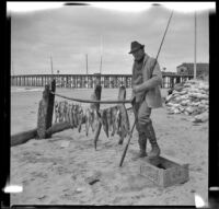 H. H. West posing with fish near a pier, Newport Beach, 1914