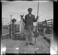 Fisherman posing with his catch on Newport Pier, Newport Beach, 1914