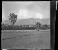 View looking across a street, Pasadena, 1899