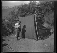 William Shaw stands next to a tent adjusting a camera at a campsite along Pine Creek, Inyo County vicinity, about 1930
