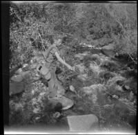 H. H. West Jr. fishing in Pine Creek, Inyo County vicinity, about 1930
