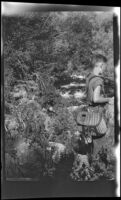 H. H. West Jr. fishing in Pine Creek, Inyo County vicinity, about 1930