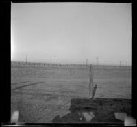 Obscured view of Mt. Lassen with fences and utility poles in the foreground, Redding vicinity, about 1914