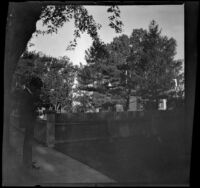 Sam Longstreet stands on the sidewalk by the West family's former home, Red Oak, 1900