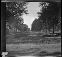 Dirt road that ran in front of the West family's former home, Red Oak, 1900