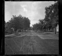 Dirt road that ran in front of the West family's former home, Red Oak, 1900