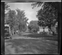 View down a dirt road, Red Oak, 1900