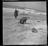 Mary Whitaker watches another woman crawling under a rope at the beach, Redondo Beach, 1901