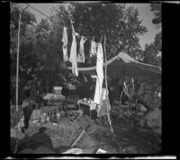 H. H. West's socks hanging from the camp clothesline, Mono County, 1941