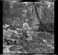 Forrest Whitaker fishing in Lee Vining Creek, Mono County, 1941