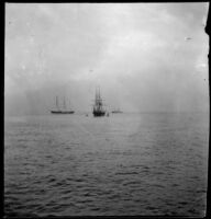 Ships sailing in San Francisco Bay, San Francisco, 1898
