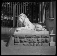 Sculpture of a lion, San Francisco, 1900
