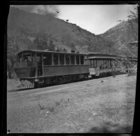 Train traveling along the Mt. Tamalpais and Muir Woods Railroad, Marin County, about 1900